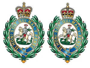 Royal Regiment of Füsiliers RRF wasserdichte Vinyl-Aufkleber Abziehbild Squaddie Veteran - Bild 1 von 3