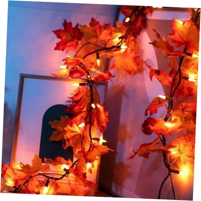 Guirnalda de otoño con luces - 50 bombillas enchufables cadena de luces de caída, 11 pies Foto 1 de 4