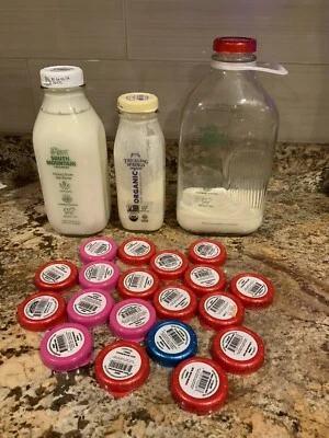 20 tampas de garrafa de plástico tampas tampos projetos de arte artesanato upcycle vidro colorido leite - Imagem 1 de 4