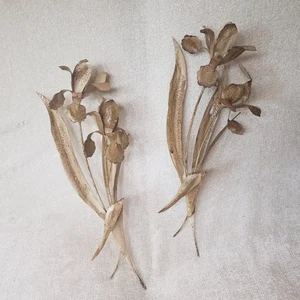 Vintage Iris 3D bemalt MCM Messing Kupfer Wanddekor Metallkunst Blumen 17 Zoll - Bild 1 von 7