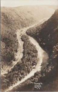 Vintage Pennsylvanias Grand Canyon RPPC Echtfoto Postkarte #4274 - Bild 1 von 2