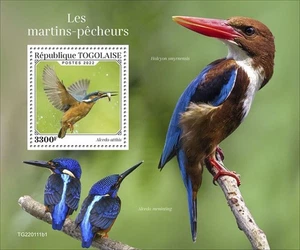Togo - 2022 Common Kingfisher - Stamp Souvenir Sheet - TG220111b1 - Picture 1 of 1