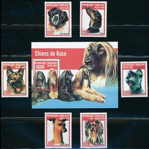 Togo Sc 1911A-G Ss Dogs St. Bernard, Teckel, Italian hound, Yorkshire terrier - Picture 1 of 10