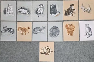 12 antiche stampe gatto Gladys Emerson Cook 1941 - Foto 1 di 4
