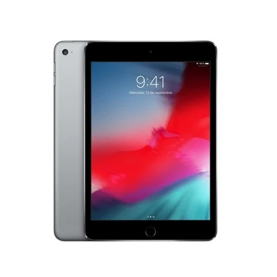 Apple iPad Mini 4th Generation 128GB Gray Wifi Only (Renewed Good Condition) - Image 1 of 4