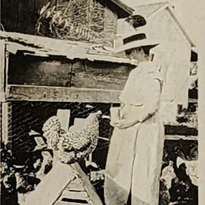 Cappello fotografico anni 20 30 signora pollaio gallo animali allevamento - Foto 1 di 3
