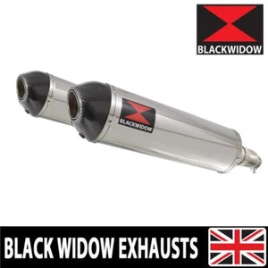 Honda CBR 1100 XX Blackbird 4-2 Exhaust Silencers 400mm Oval Carbon Tip 400ST - Picture 1 of 5