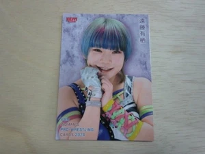 BBM 2024 Arisu Endo Women's Pro Wrestling Card New Japan Wrestling - Picture 1 of 1
