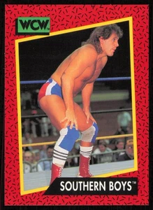 1991 Impel WCW #134 Southern Boys Karte - Bild 1 von 2