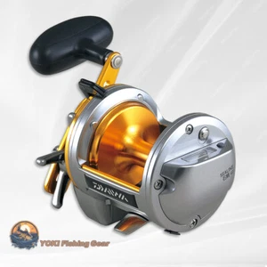 Daiwa SEALINE ISHIDAI 40 Right Fishing Reel Shipping from JAPAN - Picture 1 of 2