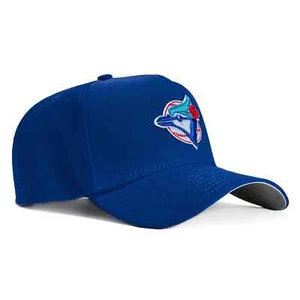 New Era 9FORTY A-Frame Toronto Bluejays MLB Snapback - Picture 1 of 5