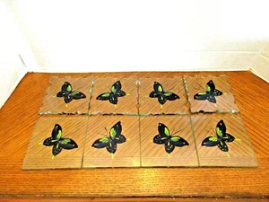 Beautiful Set of 8 Glass Tiles with Butterflies 4" Squares - Picture 1 of 4