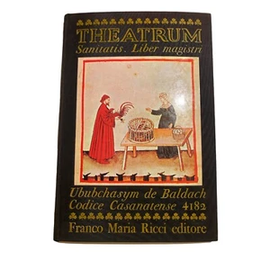 fmr franco maria ricci theatrum sanitatis liber magistri 1970 tiratura limitata - Picture 1 of 24