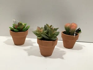 NEW 3 INCH POTTED MINI ARTIFICIAL SUCCULENT POTTED PLANTS CACTUS X 3 FREE SHIP - Picture 1 of 1