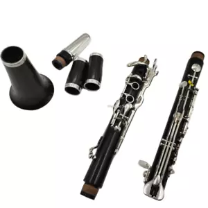 Professionelle Klarinette, Master Sound, Sliver Bb Key, Ebenholz oder Ebonit Klarionette - Bild 1 von 20