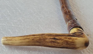 Antico bastone da passeggio in legno con manico in corno di corna, canna - Foto 1 di 24