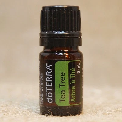 Óleo essencial doTERRA TEA TREE 5mL NOVO fechado FRETE GRÁTIS em 24 horas - Imagem 1 de 2