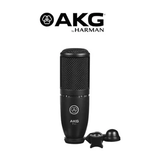 P120 High Performance Recording Microphone Project Studios With XLR Cable - Picture 1 of 8