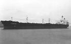 Chevron Feluy Ship of the Chevron Line Shipping Co OLD PHOTO