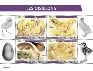 CHICKS & Birds Bird MNH 4v-Stamp Sheet #2441 (2023 Central Africa) - Picture 1 of 1