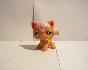 LITTLEST PET SHOP CAT KITTEN # 511 ORANGE ANGORA PINK Swirls GREEN EYES - Picture 1 of 3