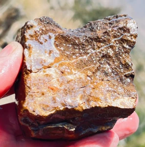 Rough Australian Boulder Opal Chunk 1443cts - Bild 1 von 8