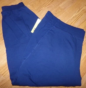 NWT ALL IN MOTION WOMENS SIZE 3X BLUE PULL ON JOGGER SWEAT PANTS HIGH WAIST - Picture 1 of 3