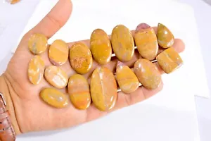 Lote de 15 piezas de piedras preciosas de cabujón de jaspe paisaje natural de 565 quilates 28x18-48x28 mm #2834 - Imagen 1 de 4