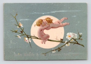 1882 Kalender Cherub Kissing John Medole & Sohn Drucker NY viktorianische Sammelkarte - Bild 1 von 2