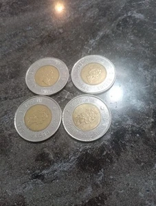 Set Of 4 2 Dollar Canada 1996 Coin 2 Errors And 2 Regular - Picture 1 of 5