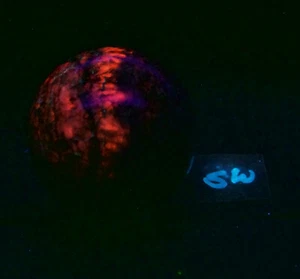 Calcita Fluorescente con Pequeña Aragonita 70mm Colección Esfera o Decoración Hogar 5309 - Imagen 1 de 9