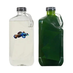 1 Gal Each 5-Species Copepod & Phytoplankton Mix – Live Feed | Free Shipping! - Picture 1 of 1