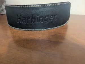 Harbinger Leather Black Padded Gym Weight Lifting Belt 4” Size M Medium NWOT - Picture 1 of 7