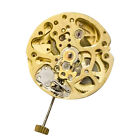 27mm Gold Skeleton 2004 Adjustment Radiation Pattern Automatic Watch Movement