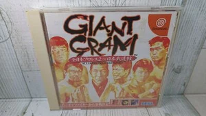 Dreamcast Giant Gram All Japan Pro Wrestling 2IN Nippon Budokan - Japan Ver USED - Picture 1 of 12