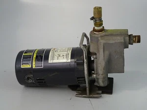 Dayton 1/2HP Utility Centrifugal Pump, 115v , 2P390A 0705 - Picture 1 of 9