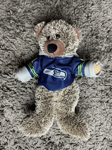 Seattle Seahawks NFL Football Team Teddy Bear with Hoodie Plush Stuffed Animal Cover