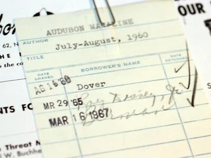 Walt Disney Studio Disneyland PL Travers Bill Dover Mary Poppins + Roy E. Disney - Picture 1 of 13