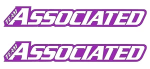 TEAM ASSOCIATED  DIE-CUT  Decal  Sticker   (  2 PCS )  Offroad  RC Truck NEW - Picture 1 of 12