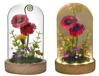 Florero iluminado de vidrio con cúpula The Cottage Garden Foto 1 de 3