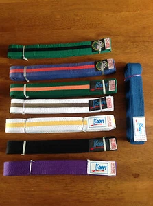 Force Tae Kwon Do / Judo / Martial Arts Belt    Various Colours    Brand New - Picture 1 of 19