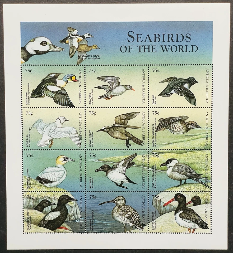 ANTIGUA SEA BIRDS STAMPS SHEET OF 12 MNH 1998 TERN WILDLIFE BIRD FAUNA NATURE - Imagem 1 de 1