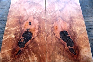 5a curly spalted ambrosia flame maple drop top .23 thk guitar bass tonewood 2273 - Picture 1 of 8