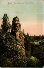Postcard WA Palouse On the Palouse River 1909 S68