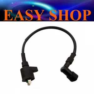 2 Pin Ignition Coil Spark Plug Lead 110cc 125cc 150cc 250CC Atomic DHZ Assassin - Picture 1 of 5