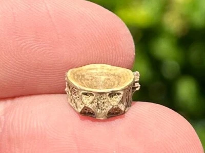 Dinosaur Age Fossil Vertebrae Hell Creek Formation Reptile Amphibian Fish - Image 1 of 4