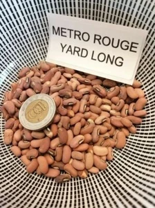 Frijol medidor Metro Rouge - frijol largo yarda - más de 5 semillas - ¡Semilla vegetal! H 076 - Imagen 1 de 1