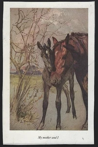 My Mother and I Lucy Kemp-Welch Black Beauty Vintage Book Horse Illustration - Picture 1 of 1