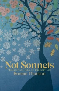 Not Sonnets by Bonnie Thurston 9781788641289 NEW Paperback softback - Picture 1 of 1