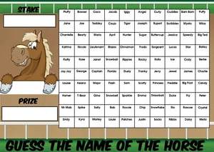 GUESS THE NAME OF HORSE A3 FUNDRAISING SCRATCHCARD RACE NIGHT GAME 100 Squares - Picture 1 of 1